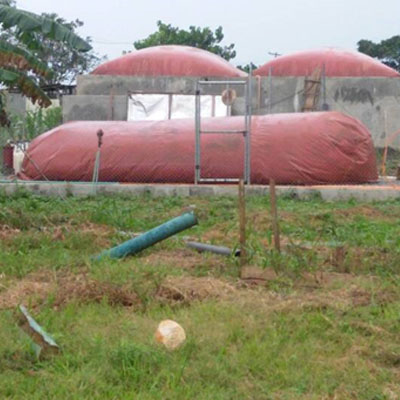 Poultry Farm Biogas Project